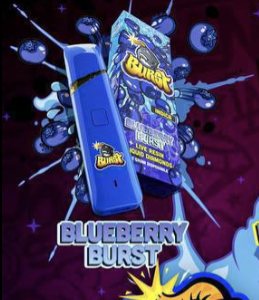 Blueberry Burst 2g Disposable Vape