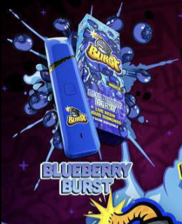 Blueberry Burst 2g Disposable Vape