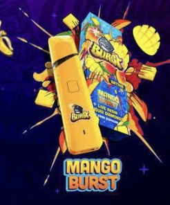 Burst mango 2g Disposable Vape