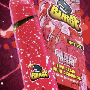 Burst Gummy Bear Disposable